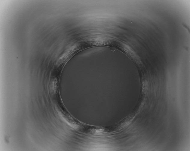 X0000102240165200808011256