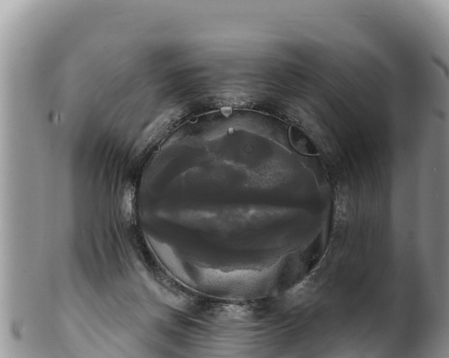 X0000102240166200808011256