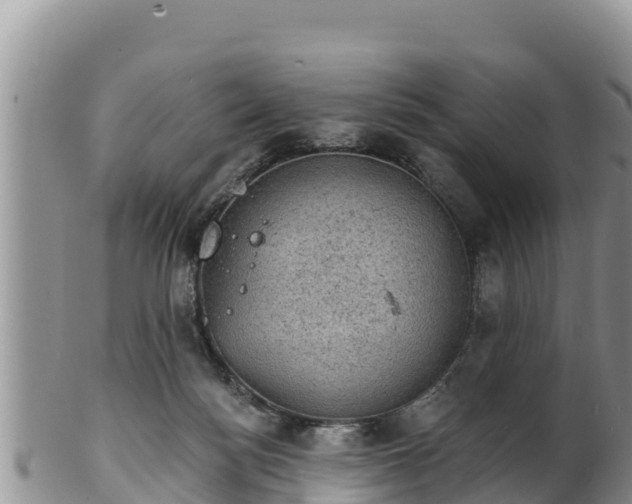 X0000102240172200808011256