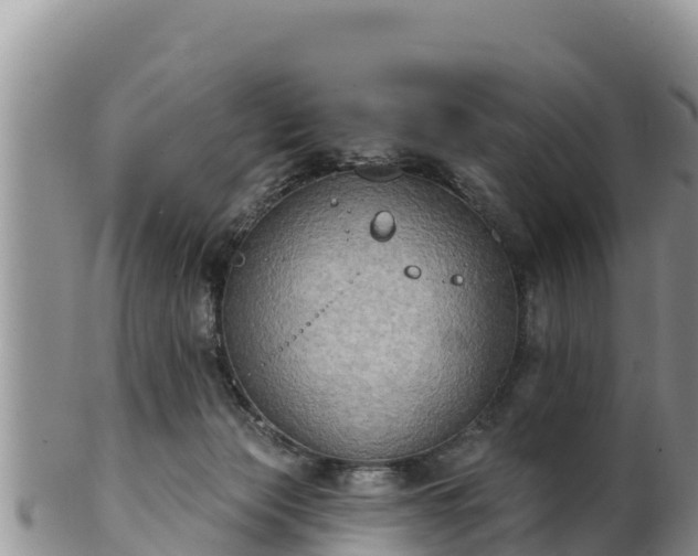 X0000102240173200808011256