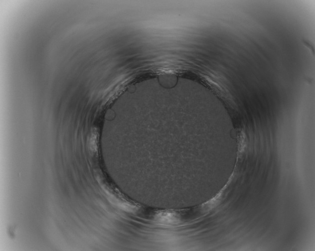 X0000102240174200808011256