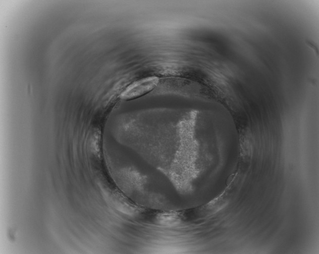 X0000102240175200808011256