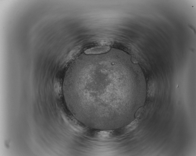 X0000102240176200808011256