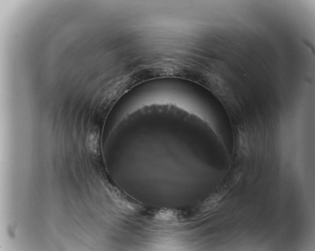 X0000102240177200808011256