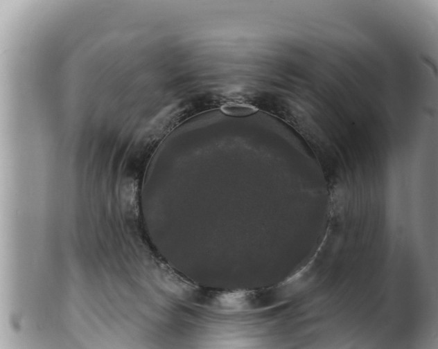 X0000102240178200808011256