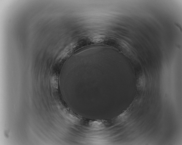 X0000102240180200808011256