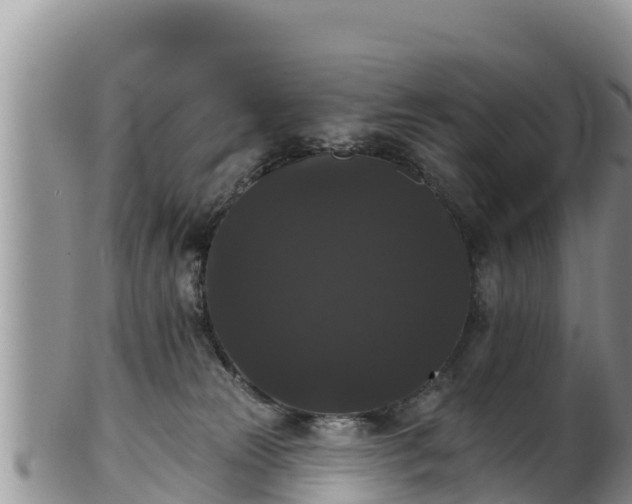 X0000102240181200808011256