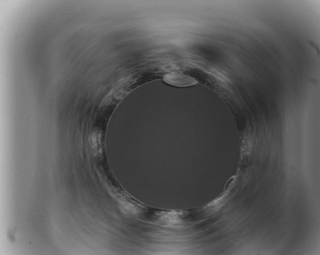 X0000102240182200808011256