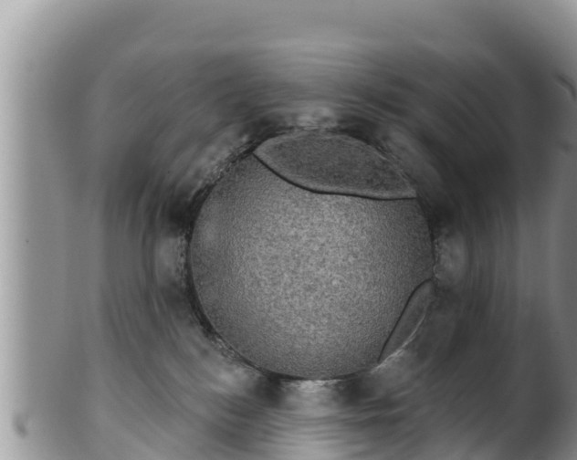 X0000102240184200808011256