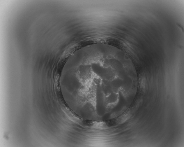 X0000102240185200808011256