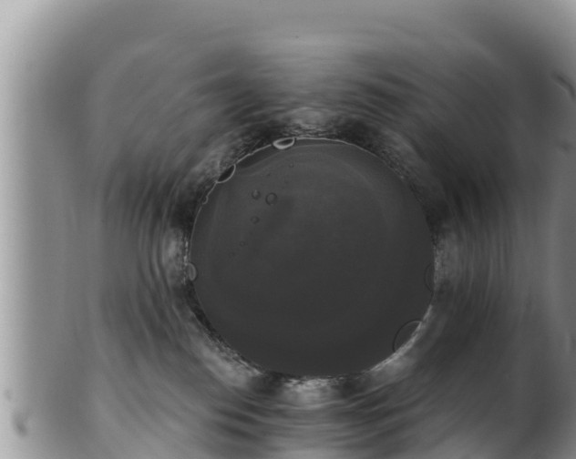 X0000102240186200808011256