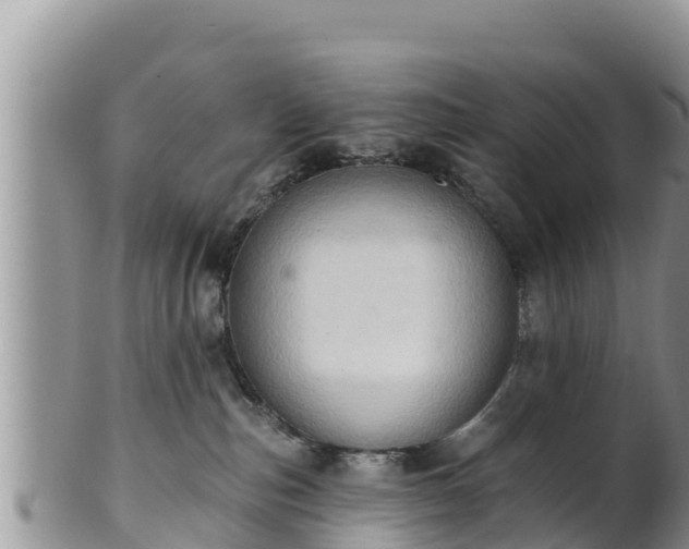 X0000102240187200808011256