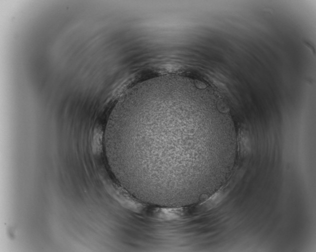 X0000102240188200808011256