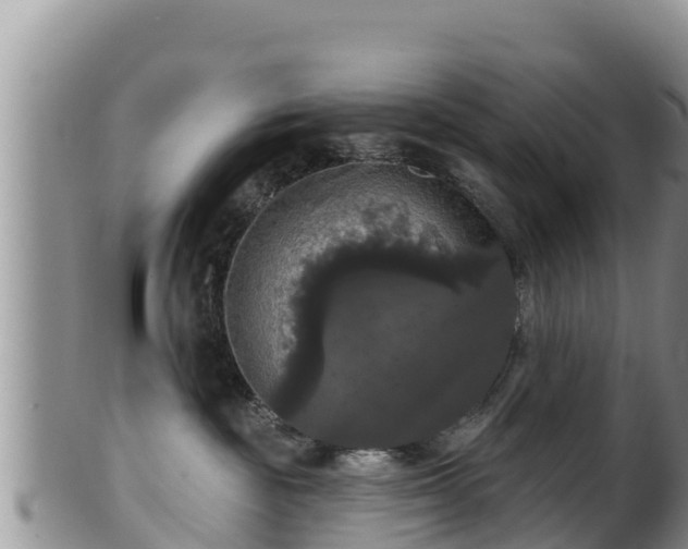 X0000102240189200808011256