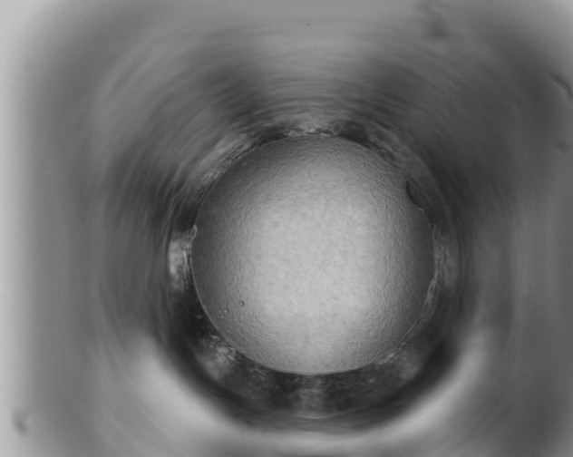 X0000102240191200808011256