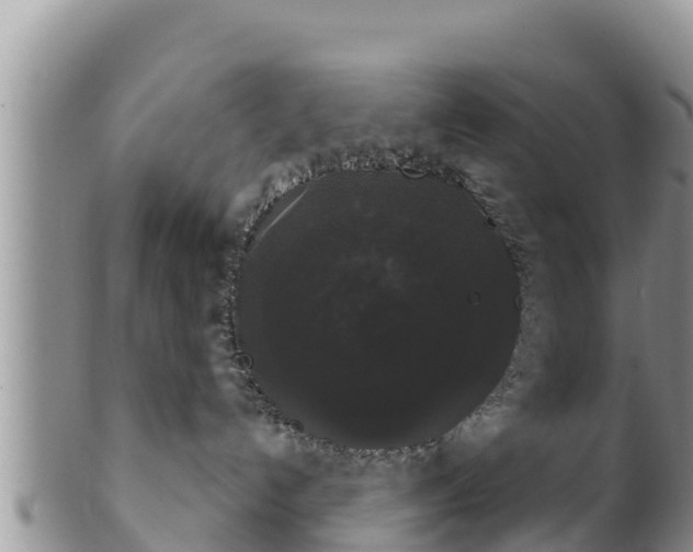 X0000102240192200808011256