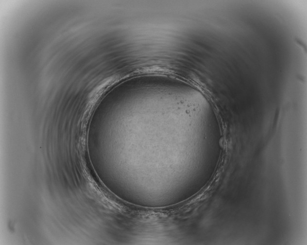 X0000102240193200808011255