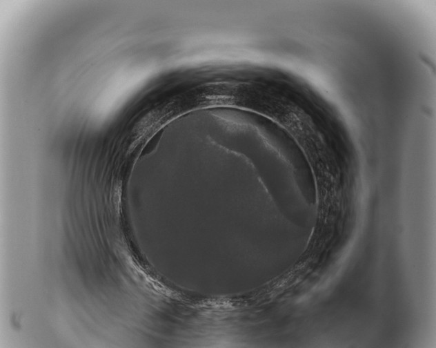 X0000102240194200808011255