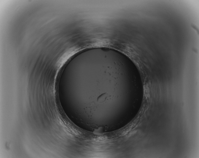 X0000102240196200808011255