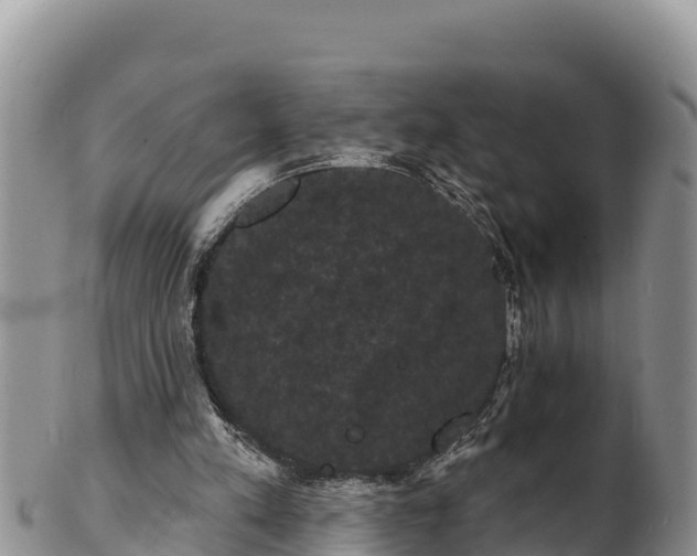 X0000102240197200808011255