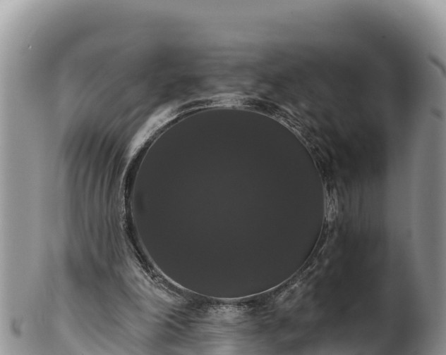 X0000102240198200808011255