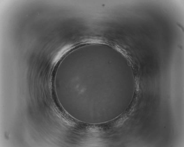 X0000102240199200808011255