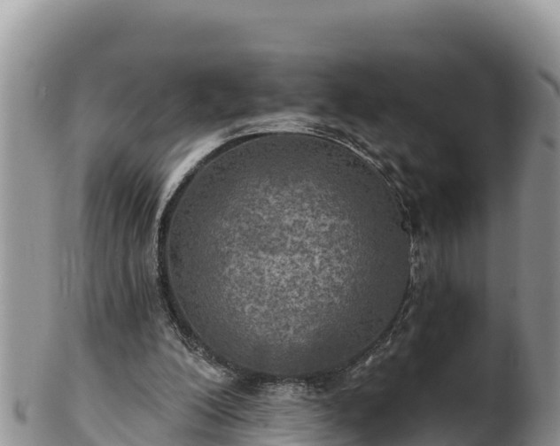 X0000102240200200808011255