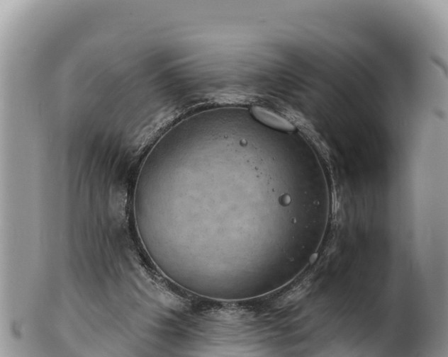 X0000102240201200808011255