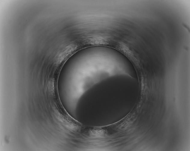 X0000102240202200808011255