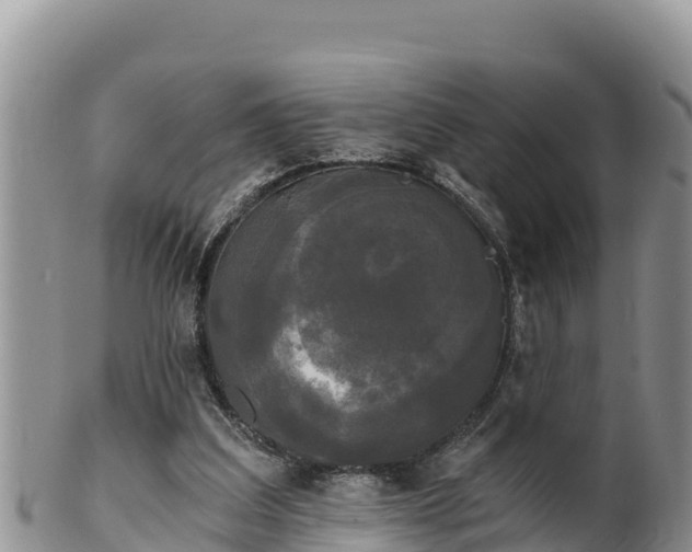 X0000102240203200808011255