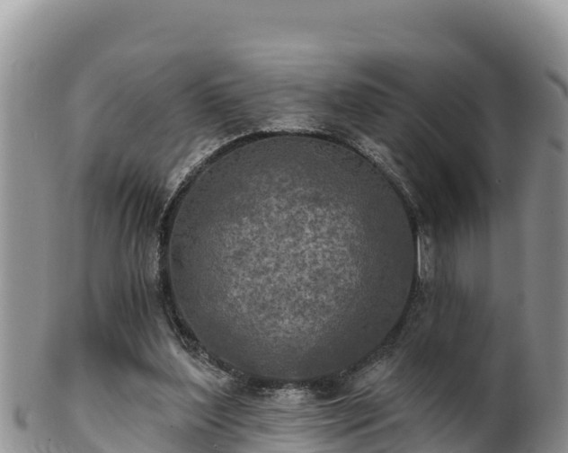 X0000102240204200808011255