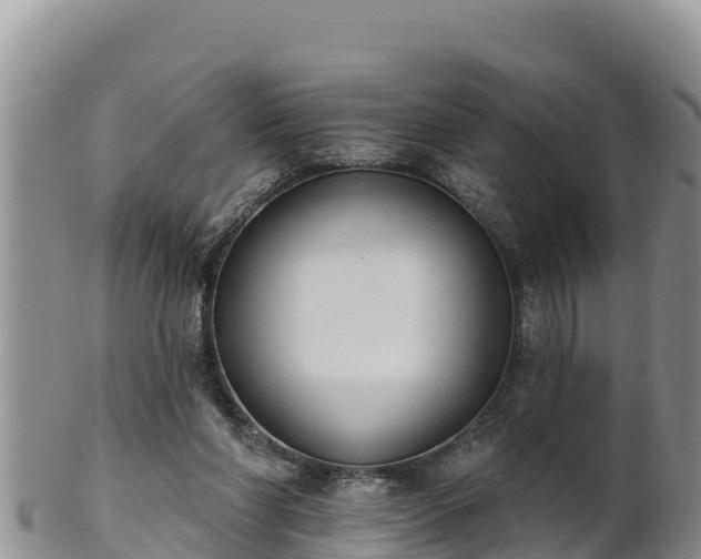 X0000102240206200808011255