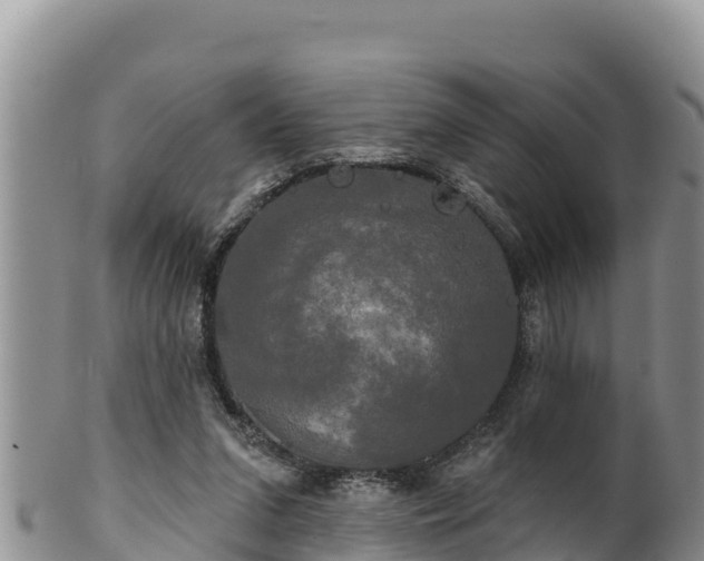 X0000102240207200808011255