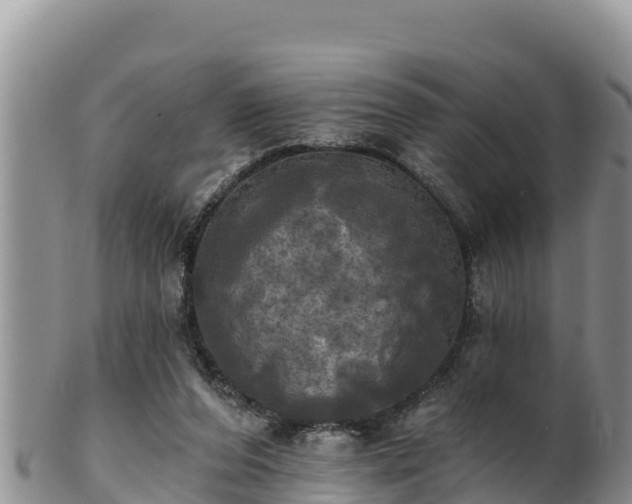 X0000102240208200808011255