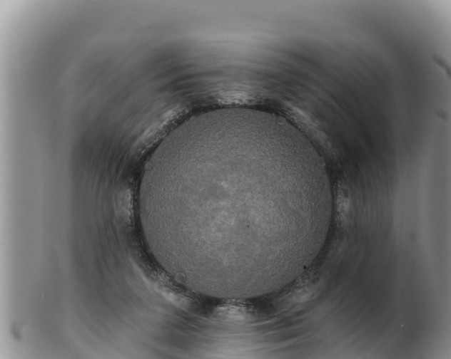 X0000102240211200808011255