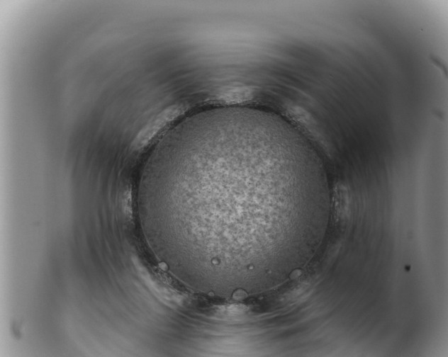 X0000102240212200808011255