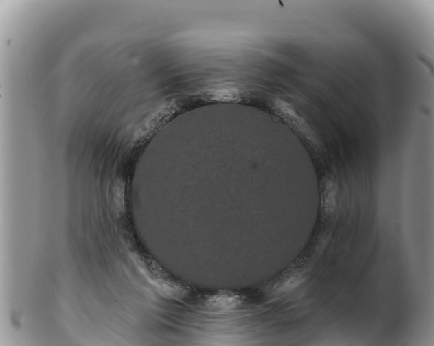 X0000102240213200808011255