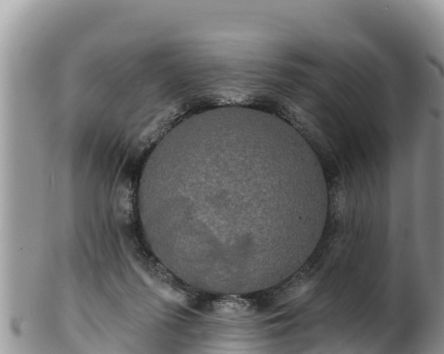 X0000102240215200808011255