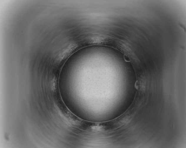 X0000102240216200808011255