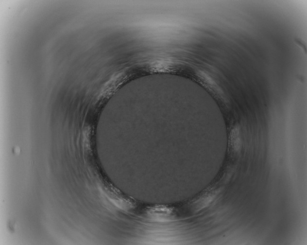 X0000102240217200808011255