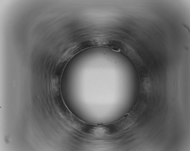 X0000102240218200808011255