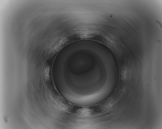 X0000102240219200808011255