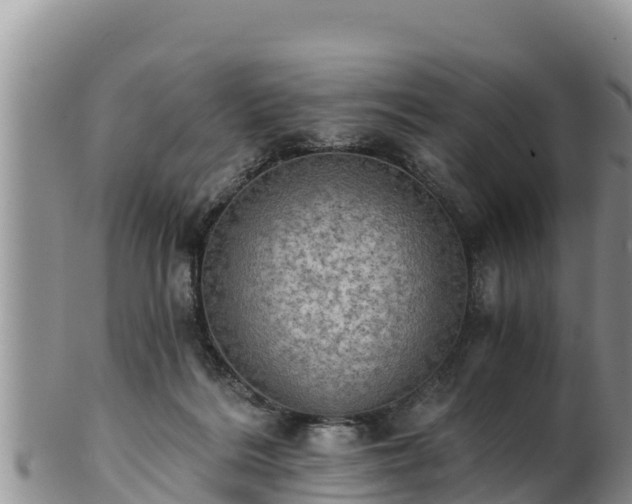 X0000102240220200808011255