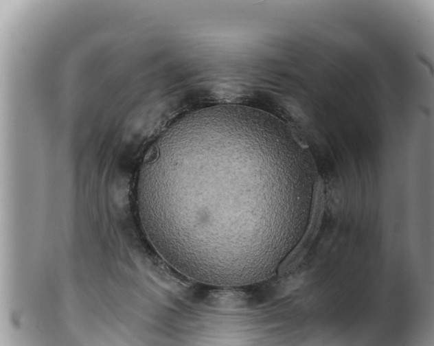 X0000102240221200808011255