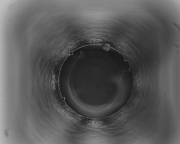 X0000102240223200808011255