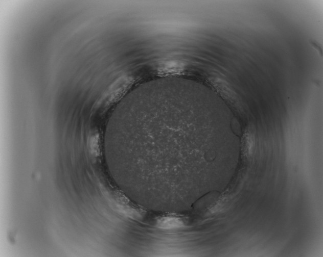 X0000102240224200808011255