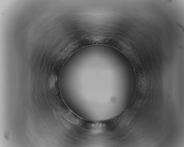 X0000102240225200808011255