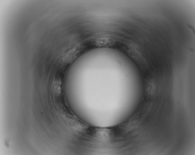 X0000102240226200808011255