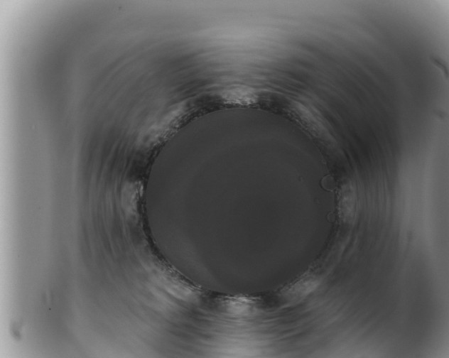 X0000102240229200808011255