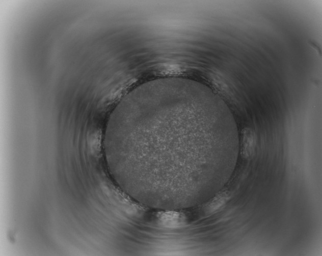 X0000102240230200808011255